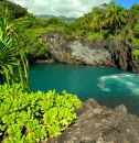 Maui Excursions and Tours